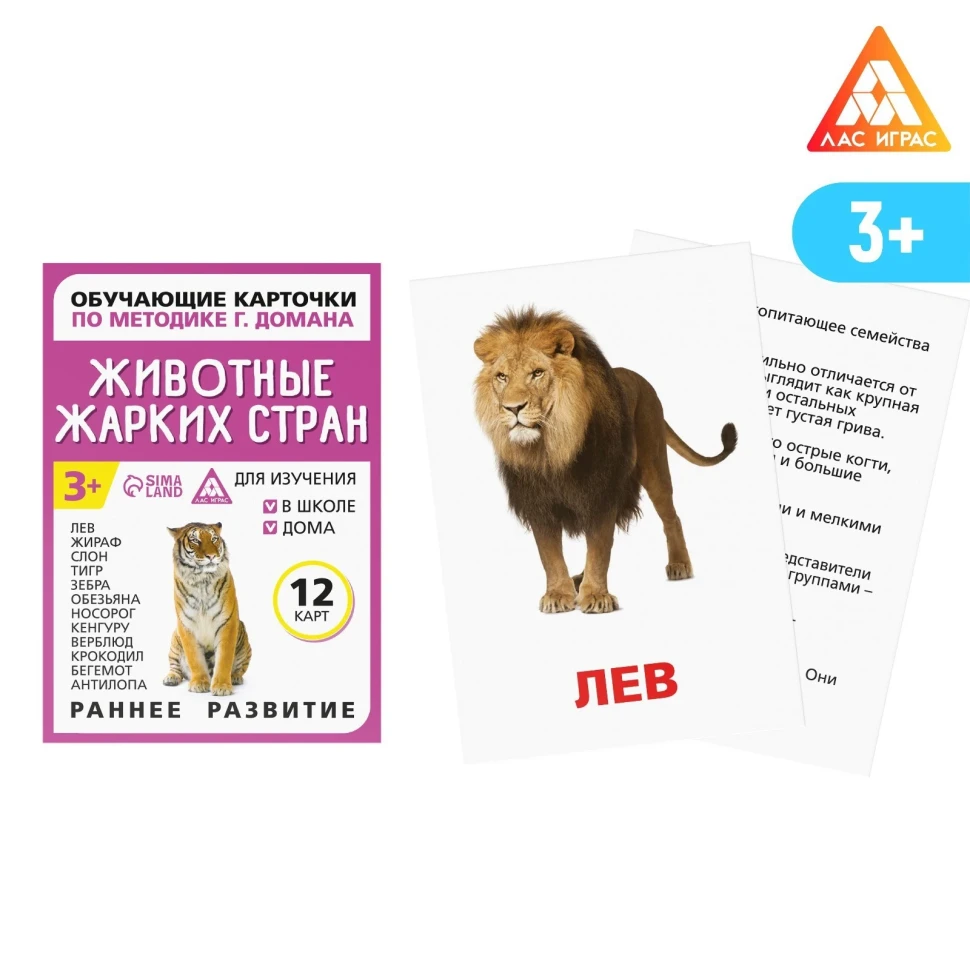 Карточки обучающие Животные жарких стран 12 карт по методике Глена Домана