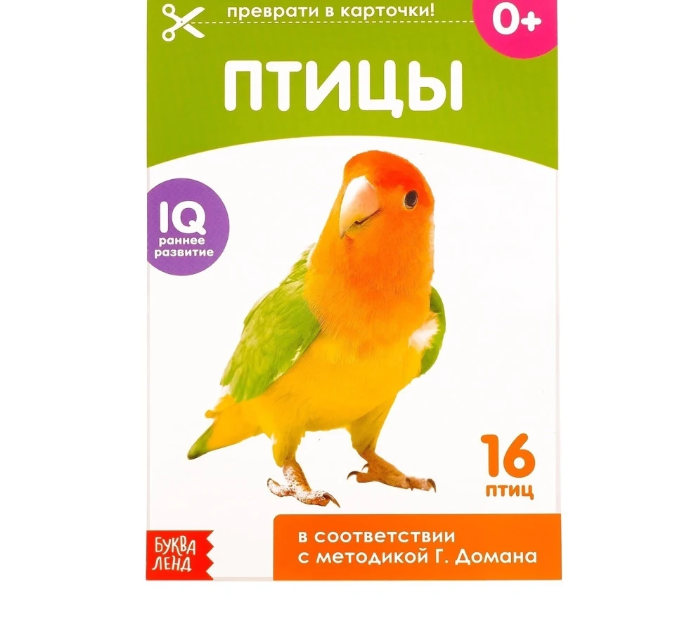 Книжка обучающая Птицы 20 стр. по методике Глена Домана