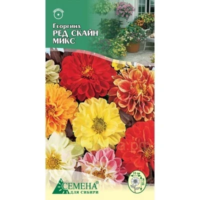 Георгина Ред Скайн микс 0,2г Семена для Сибири